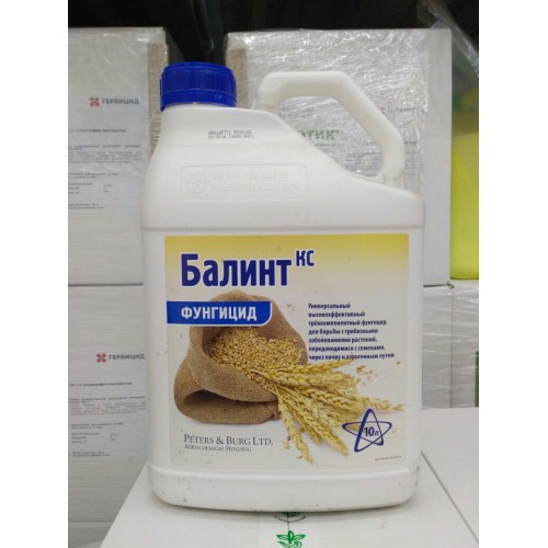 Фунгицид Балинт КС